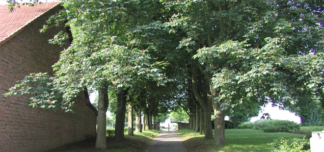 Das Bild zeigt den Friedhof Bauernheim, copyright Stadt Friedberg (Hessen)