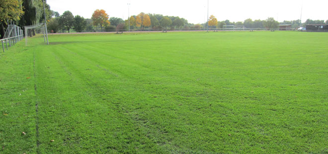 Das Bild zeigt die Sportplätze in Ossenheim, copyright Stadt Friedberg (Hessen)